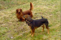 Kamarádi v Horizontu